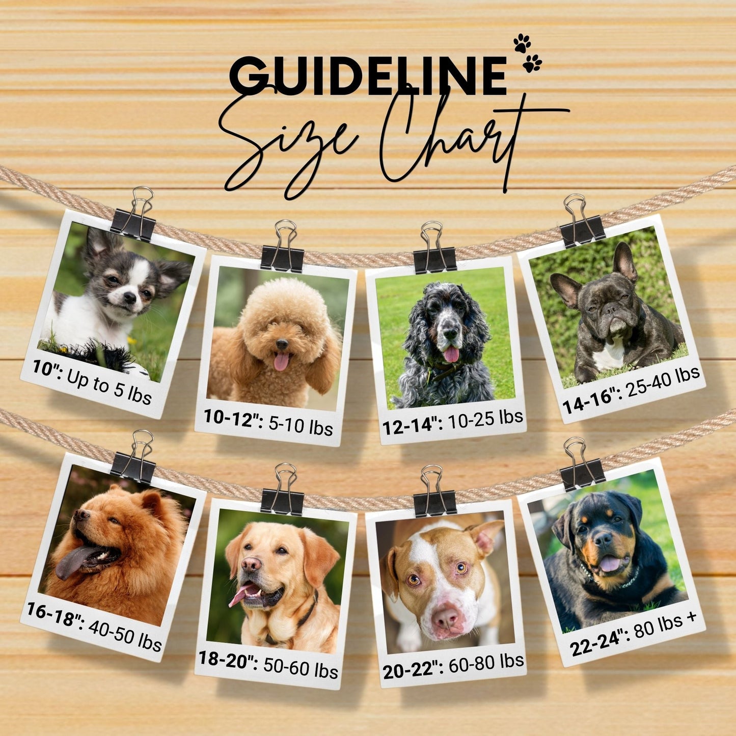 Collar para perros Sambboho de Maldivas (Colección Glam)