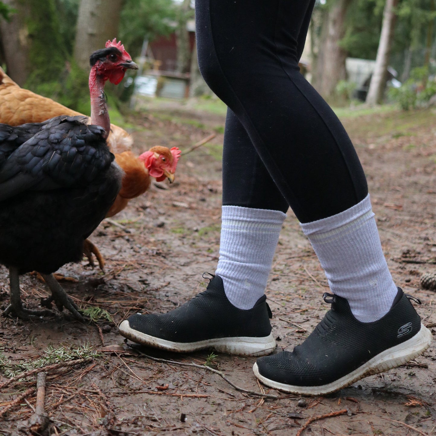Calcetines cómodos que salvan animales de granja