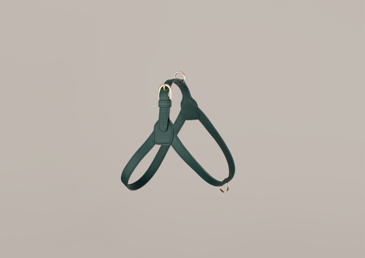 Luxury Cactus Leather Teal Harness for Dogs Luxury Harness 1 2
