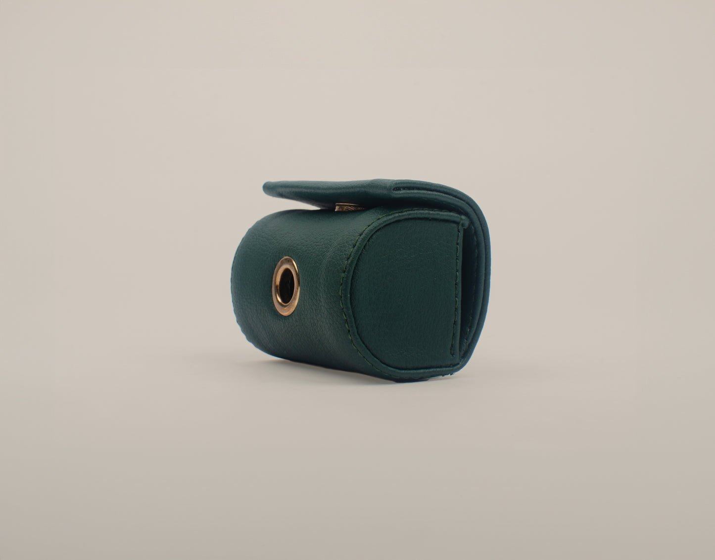 Teal Poop Bag Holder Dog Accessory
