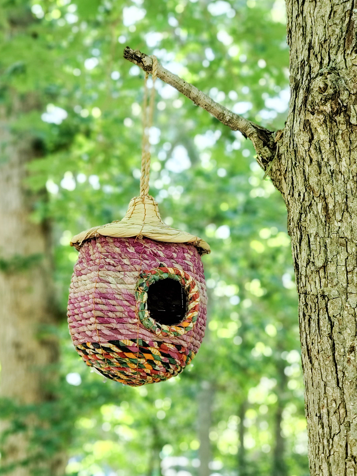 Casa para pájaros de algas marinas y sari - Acorn