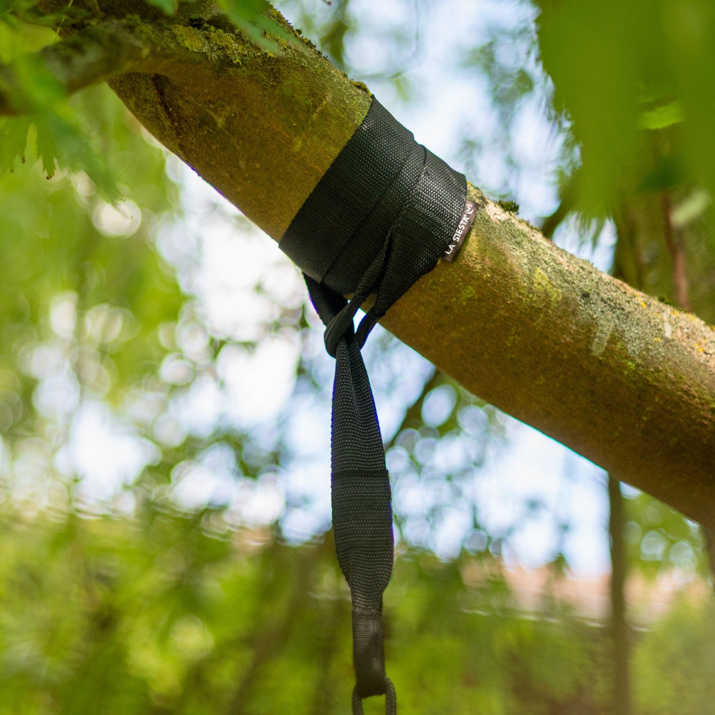 TreeMount 1rope Black - Tree and Pole Suspension Set for Hammock Chairs