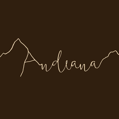 Andeana Hats logo