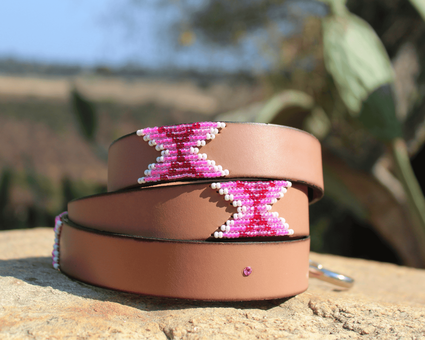 Correa y collar para perro a juego Melrose Sambboho Bundle