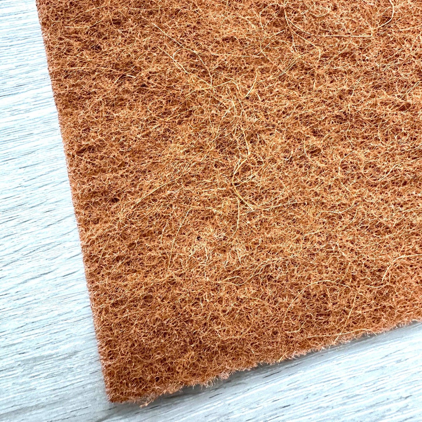 Estropajos biodegradables para fregar con fibras de coco de origen vegetal EcoFreax