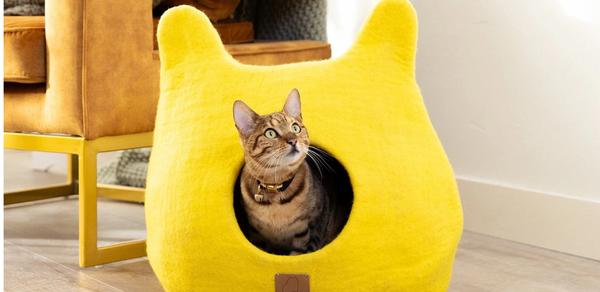 cat enjoying a wool pet bed