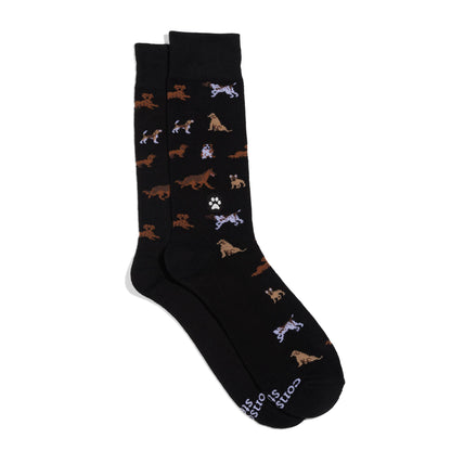 Calcetines que salvan perros (Paw Parade)