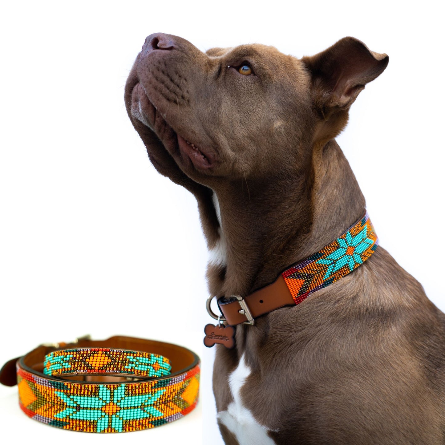 Collar para perro Sardinia Sambboho (Colección Glam)