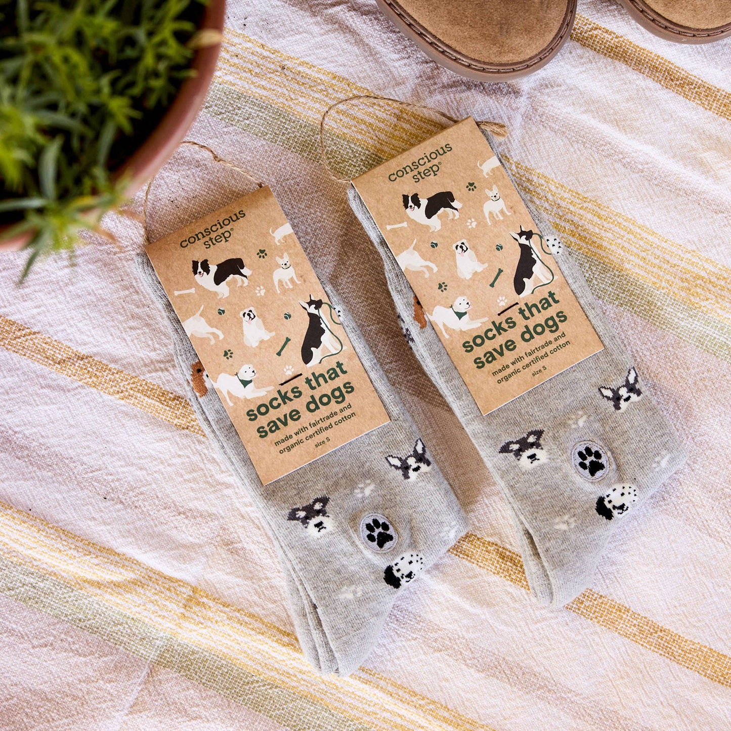 Calcetines que salvan perros (Fotos de perros)