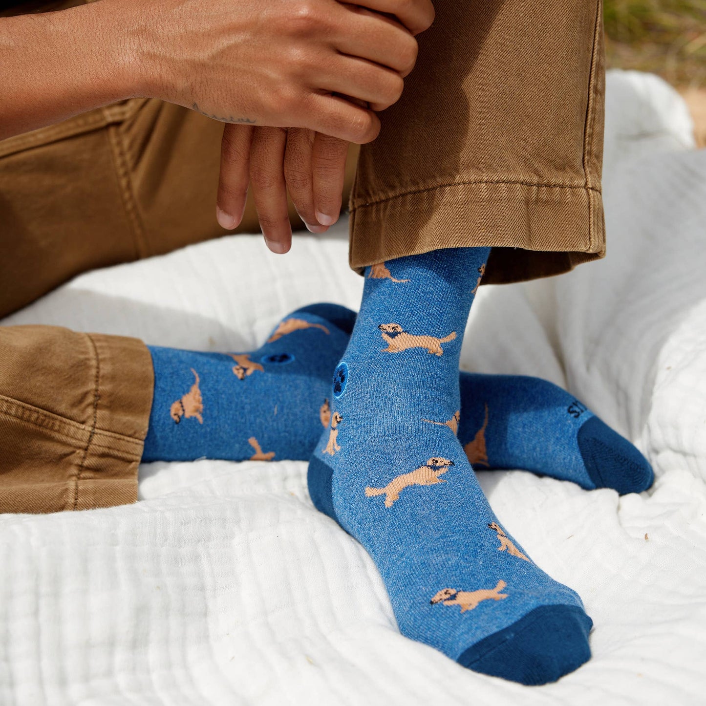 Calcetines que salvan perros (Golden Retrievers azules)