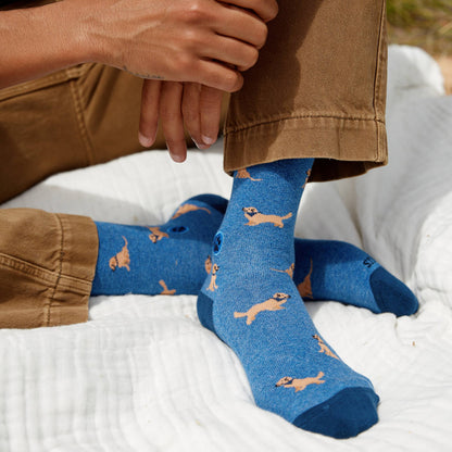 Calcetines que salvan perros (Golden Retrievers azules)