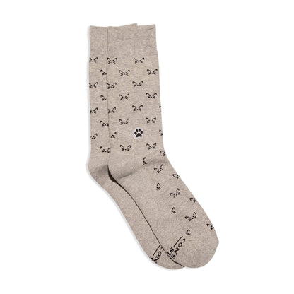 Calcetines que salvan gatos (Gatos grises)