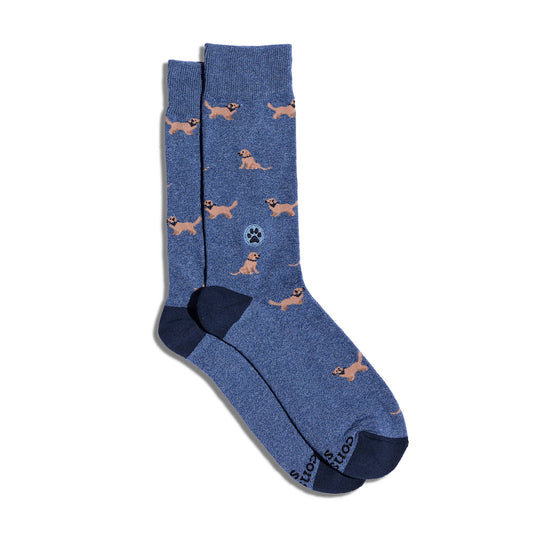 Calcetines que salvan perros (Golden Retrievers azules)
