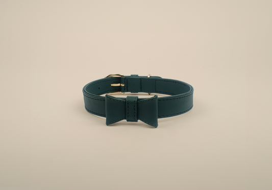 Teal Collar Dog Collar