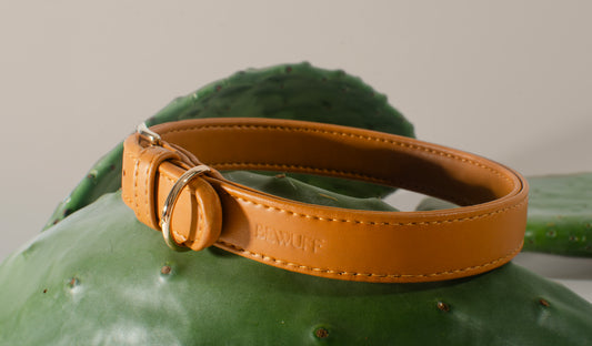 Camel Collar Dog Collar