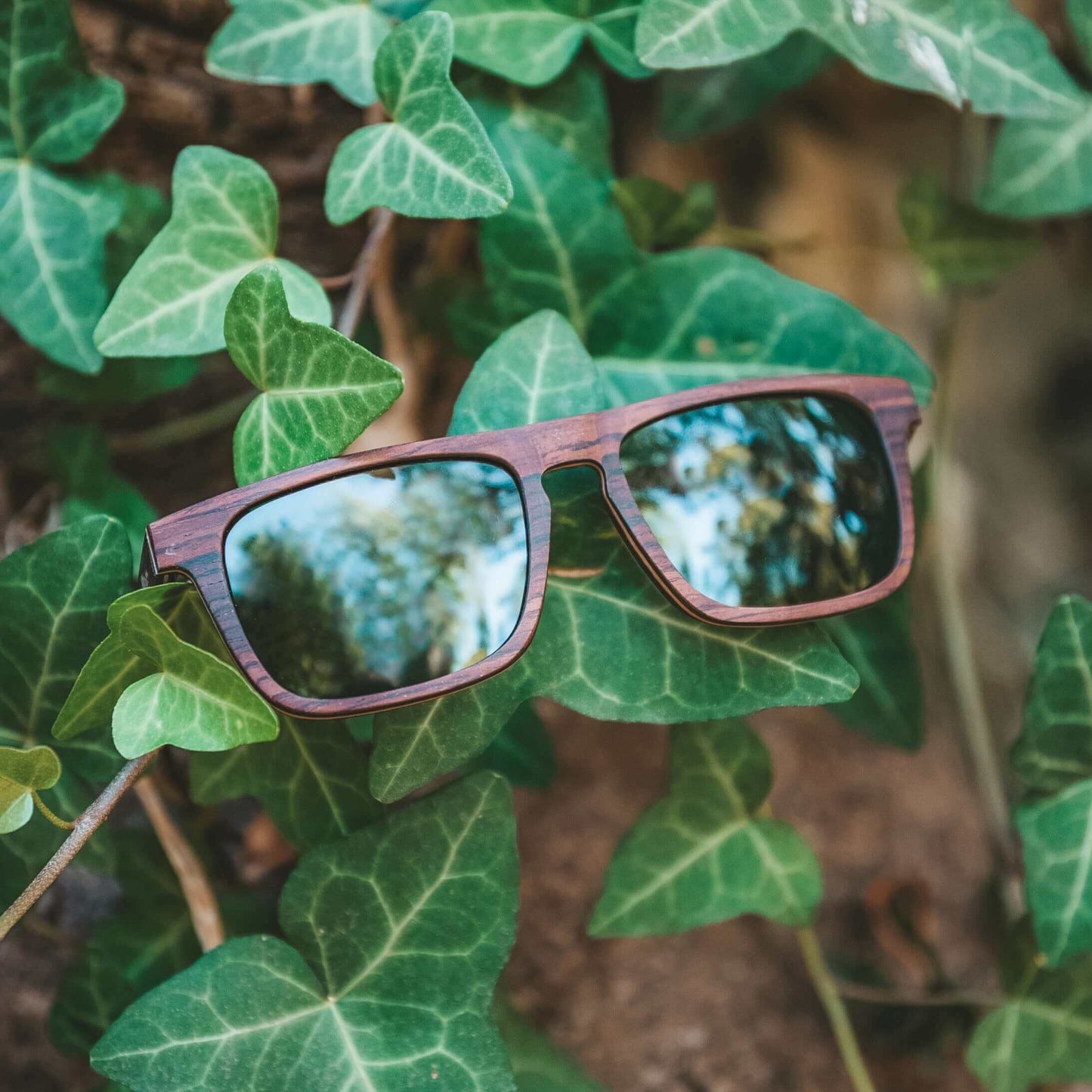 Palau - Gafas de sol de madera