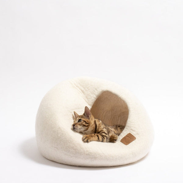 Merino Wool
