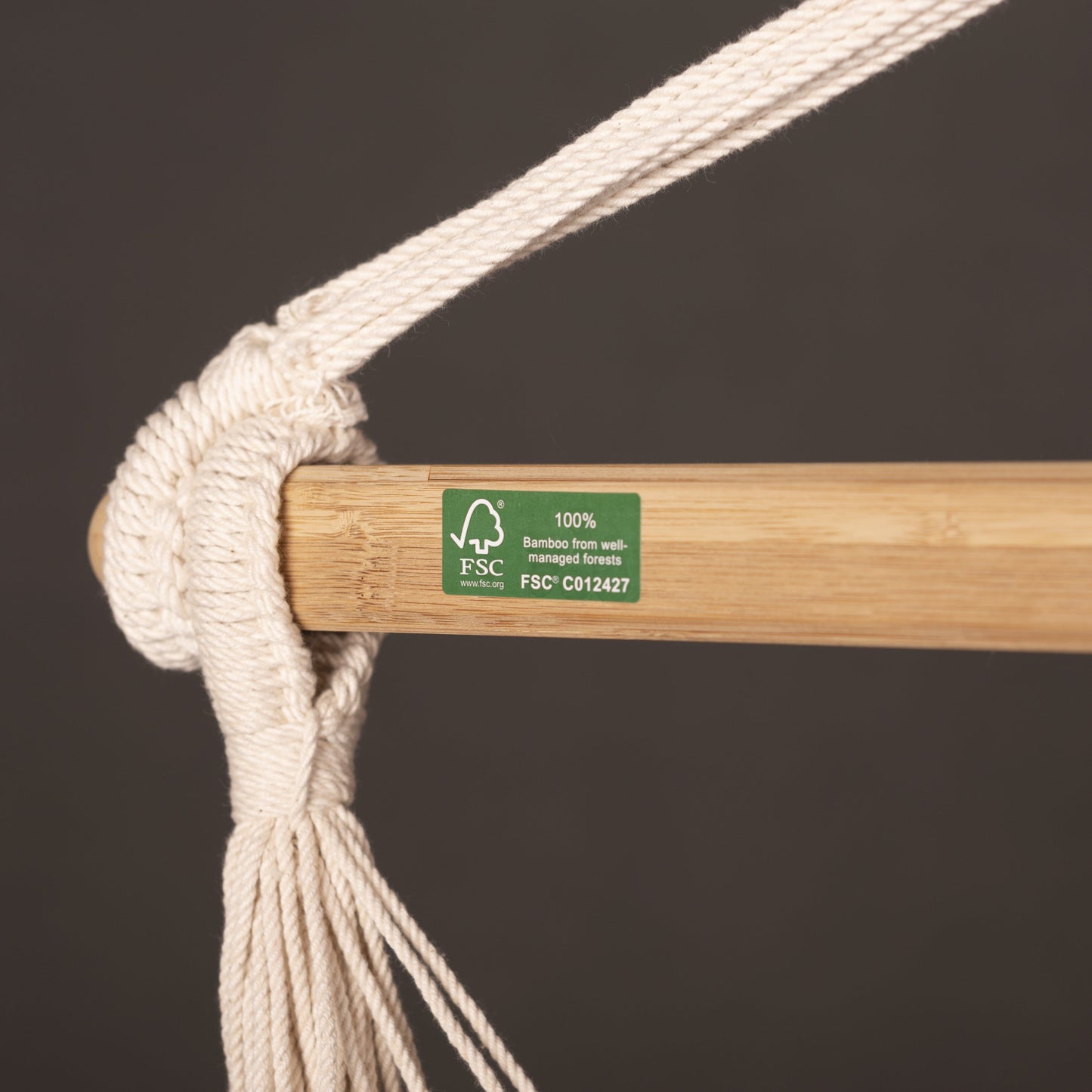 Habana Latte - Organic Cotton Comfort Hammock Chair