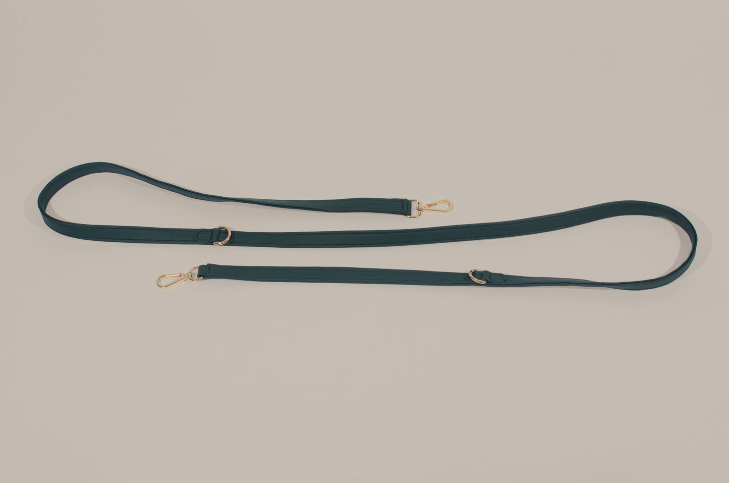 Teal Hands-Free Leash Dog Leash