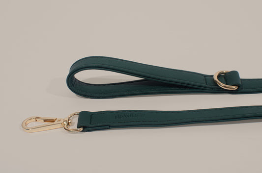 Teal Hands-Free Leash Dog Leash