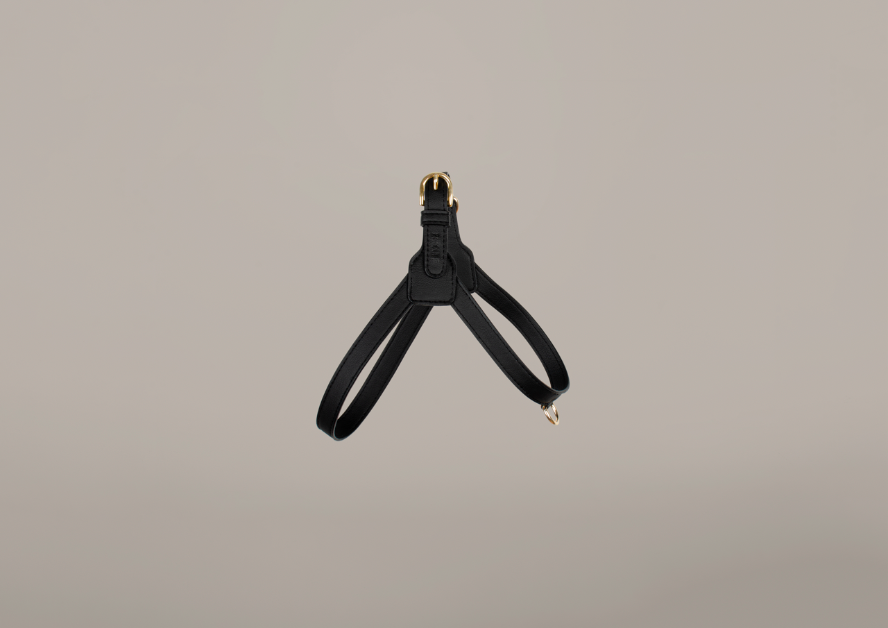 Luxury Cactus Leather Black Harness for Dogs Luxury Harness 1
