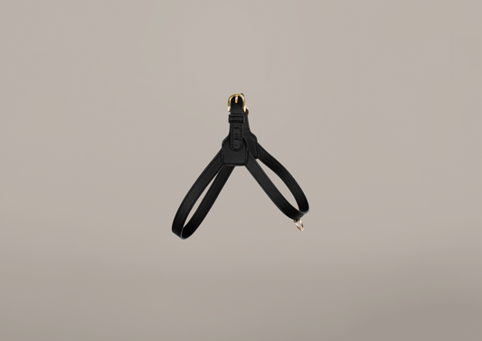 Luxury Cactus Leather Black Harness for Dogs Luxury Harness 1