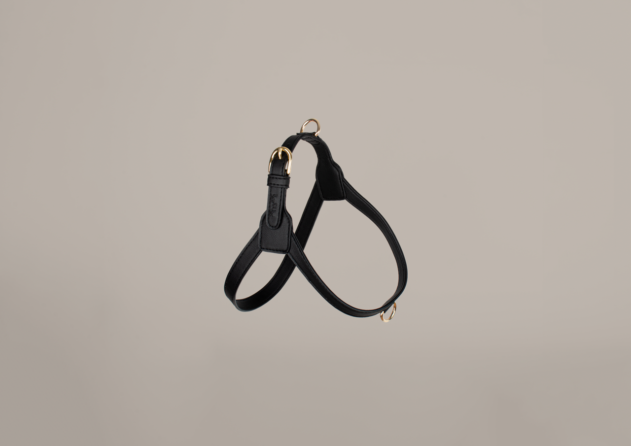 Luxury Cactus Leather Black Harness for Dogs Luxury Harness 1 2