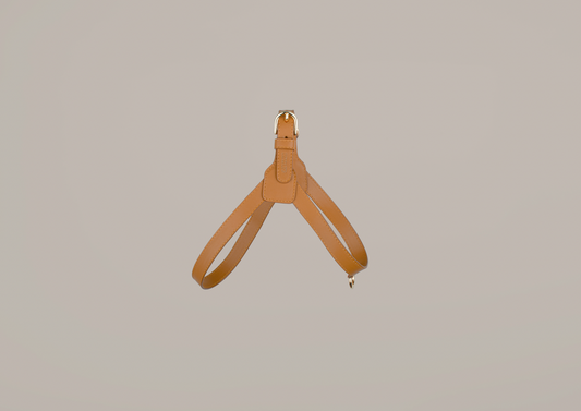 Luxury Cactus Leather Camel Harness for Dogs Luxury Harness 1