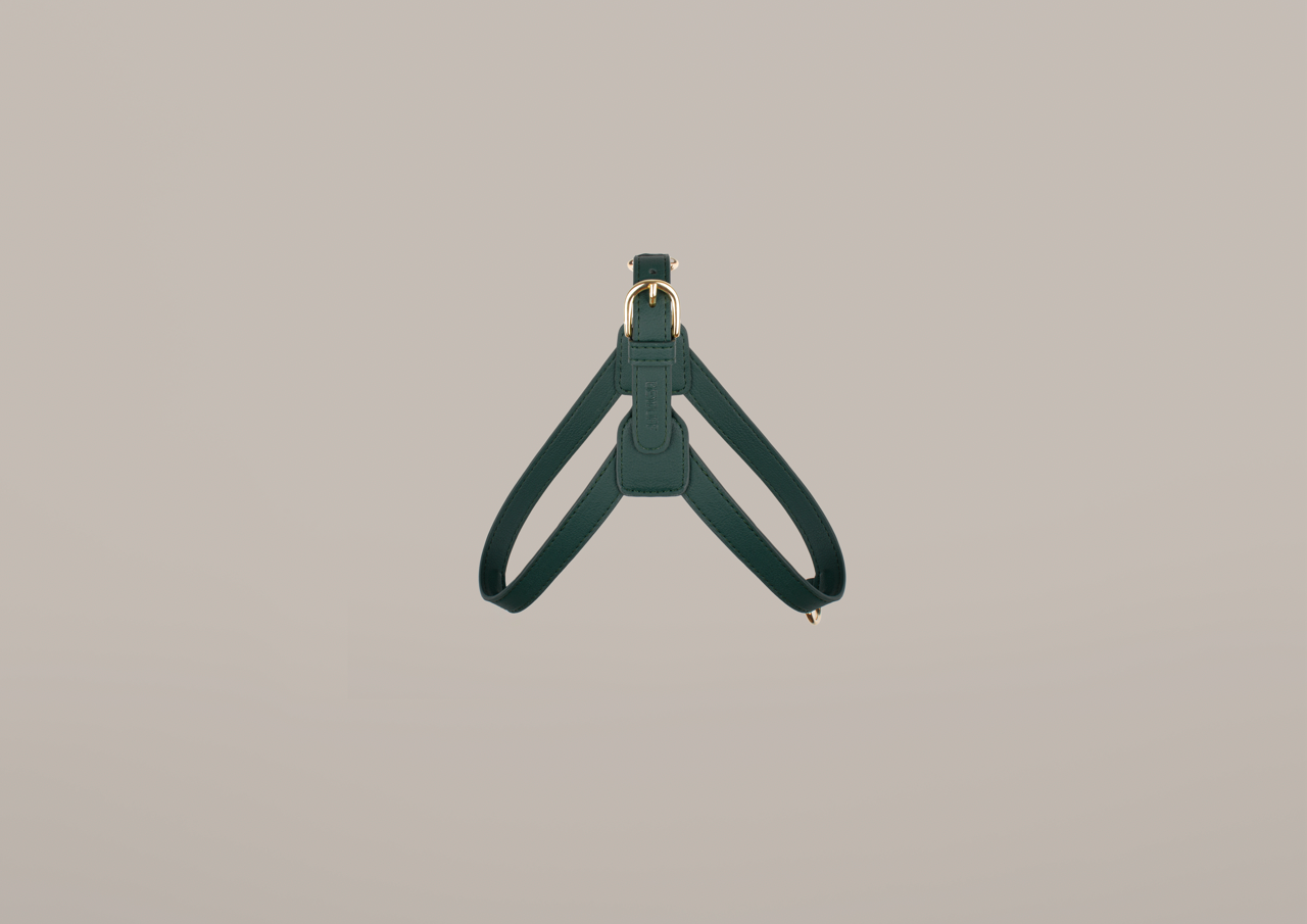 Luxury Cactus Leather Teal Harness for Dogs Luxury Harness 1