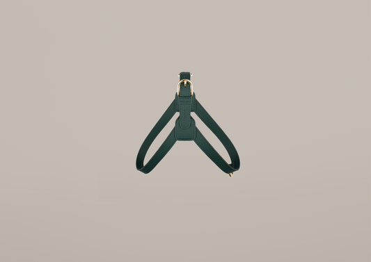 Luxury Cactus Leather Teal Harness for Dogs Luxury Harness 1