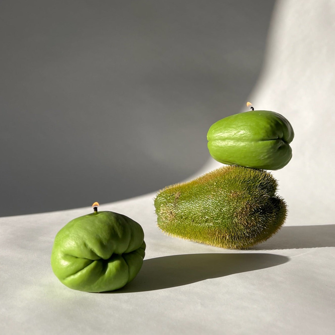 Vela de chayote