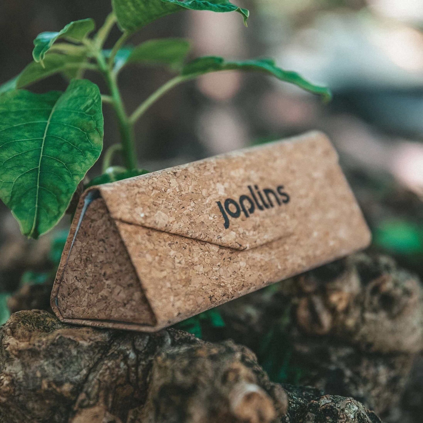 Fold &amp; Go - Estuche de corcho plegable para gafas de sol