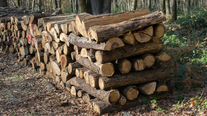 Solid Wood