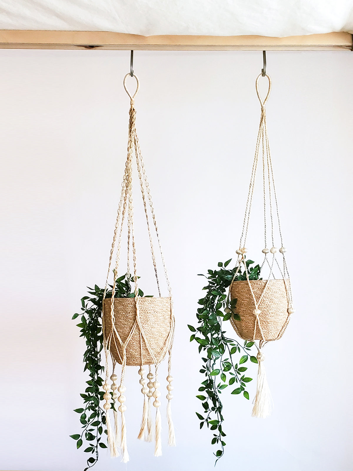 Colgador de plantas - Fiora