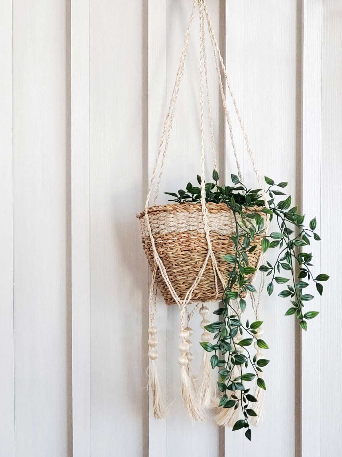 Colgador de plantas - Fiora
