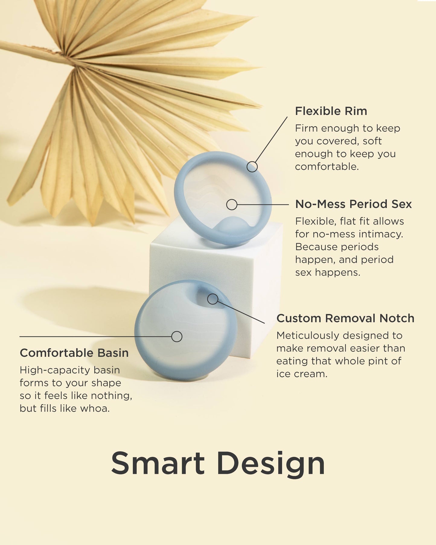 Saalt Disc