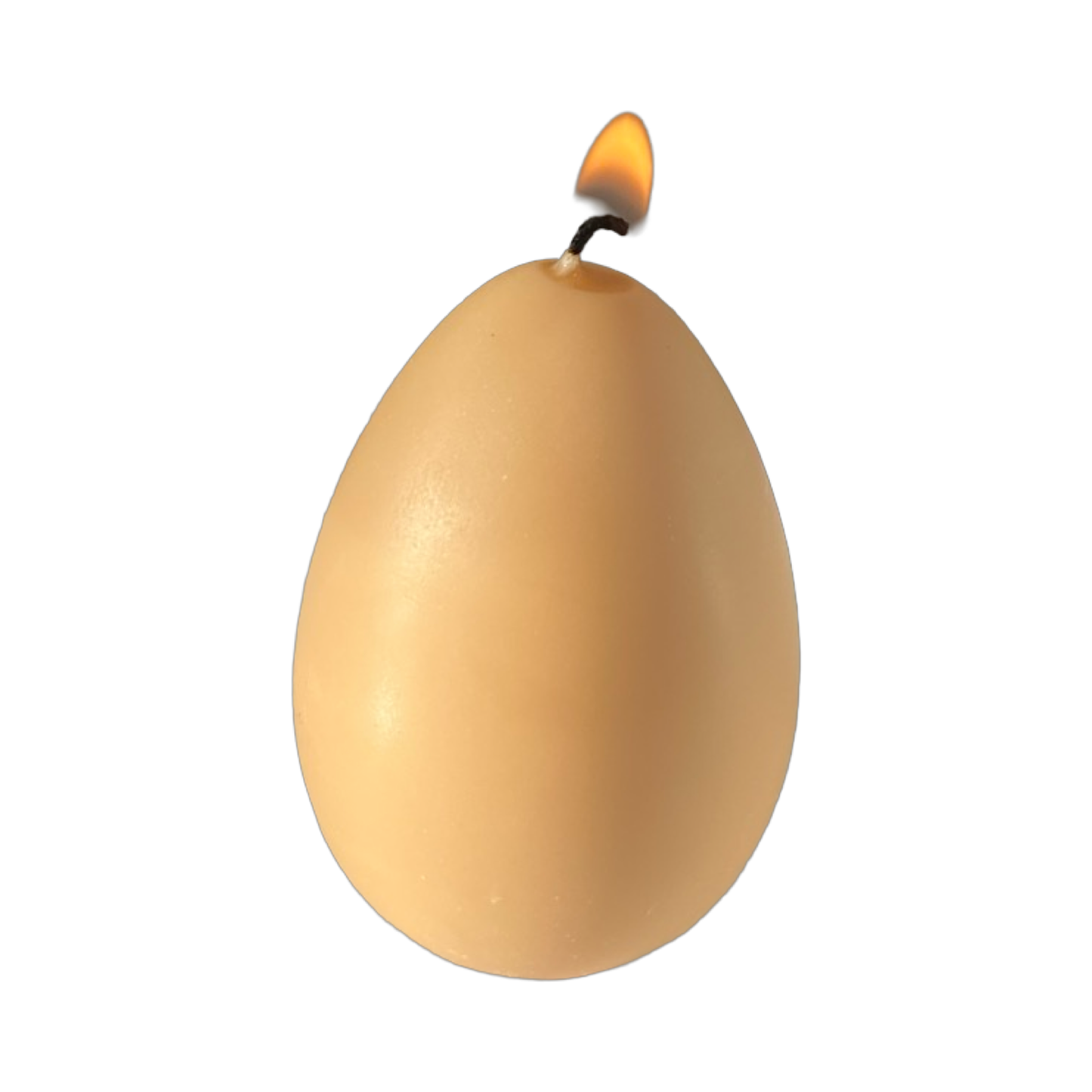 Velas con forma de huevo - Caja de 6 unidades