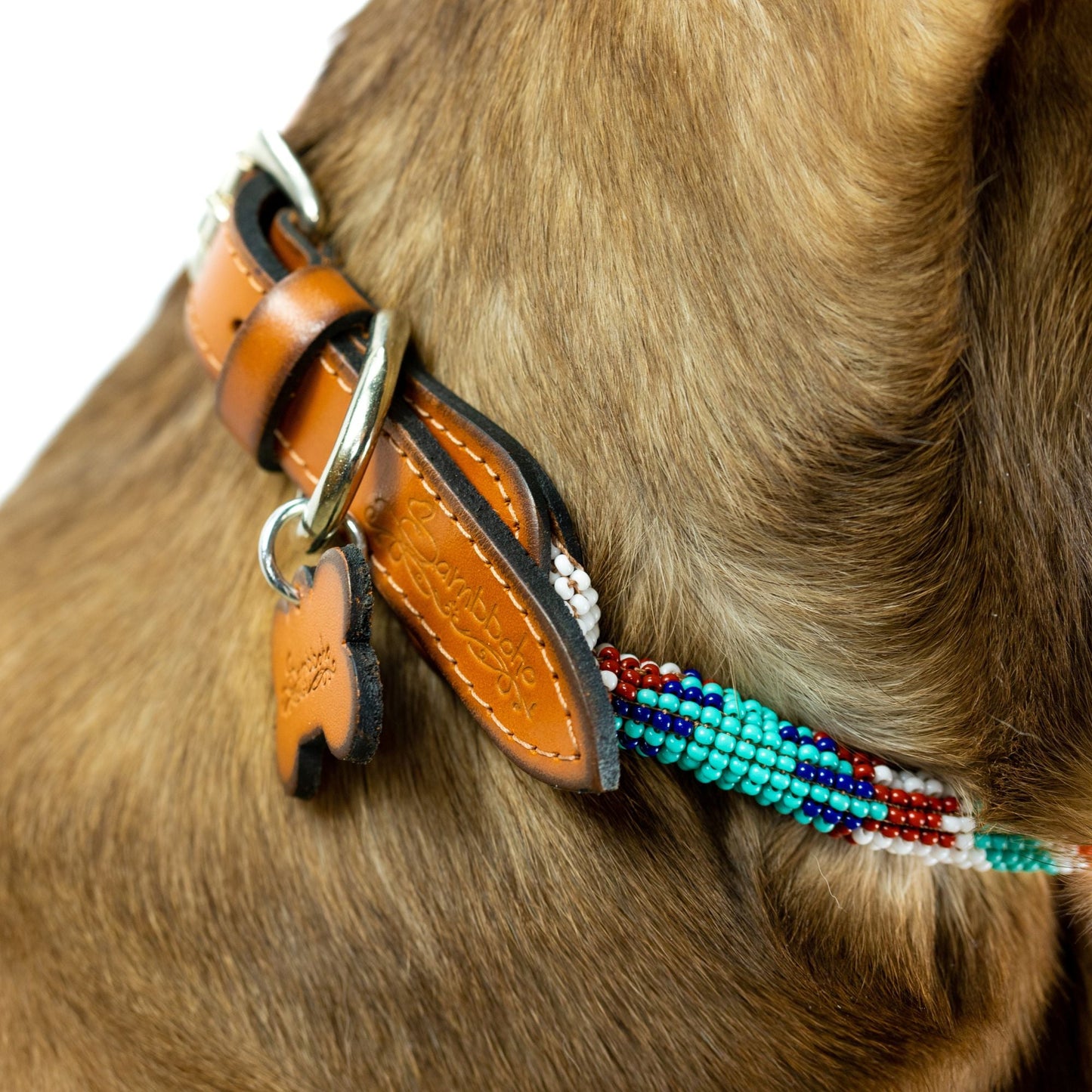 Collar para perro Aztec Sambboho (enrollado)