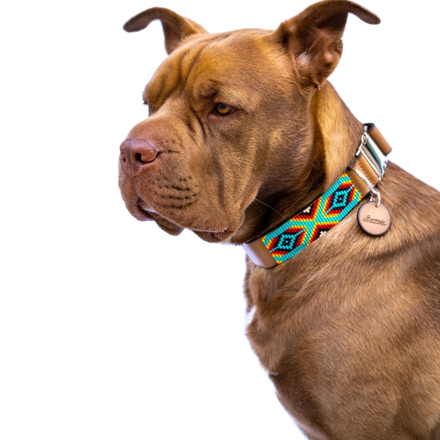 Collar para perros Bahamas (liberación rápida)