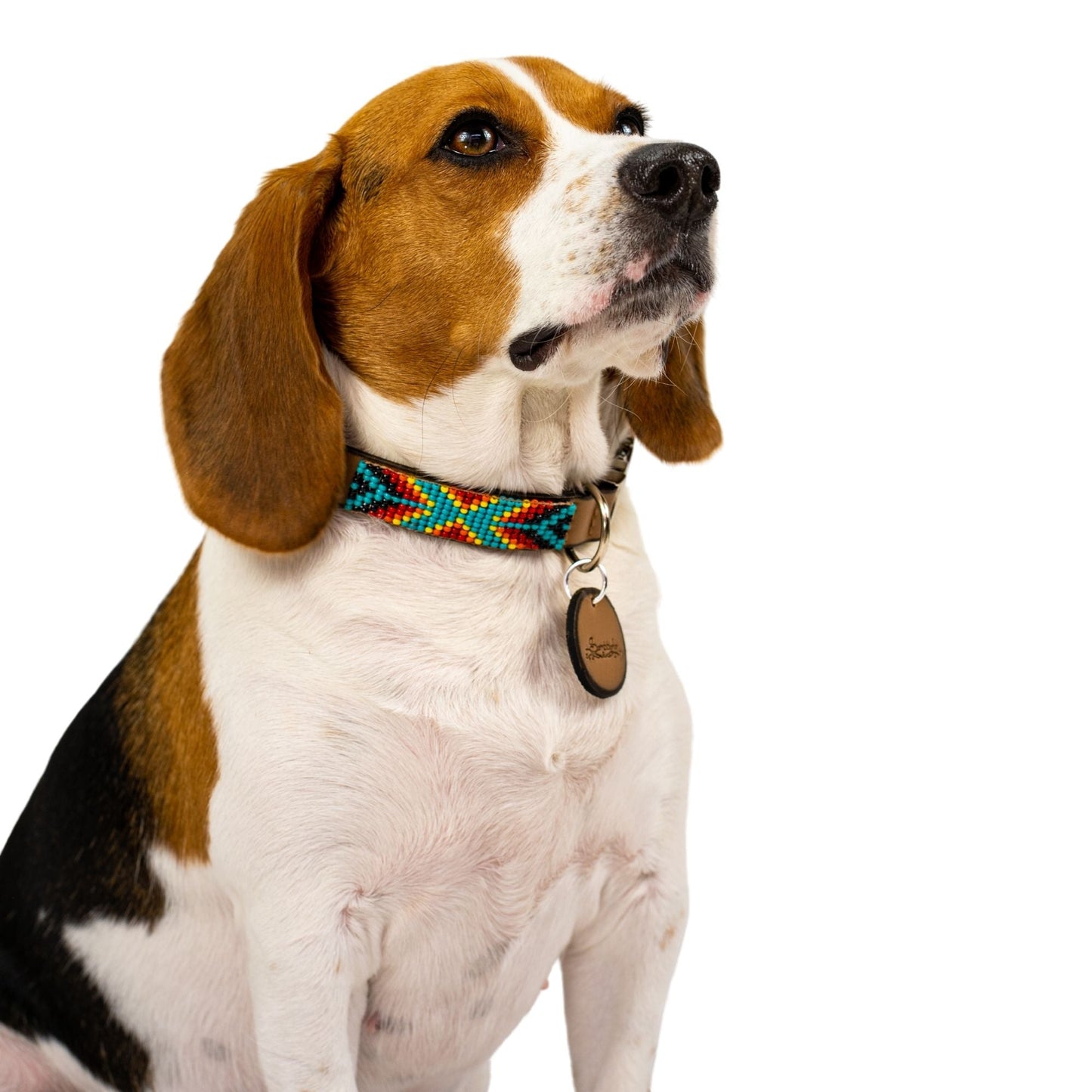 Collar para perros Bahamas (liberación rápida)