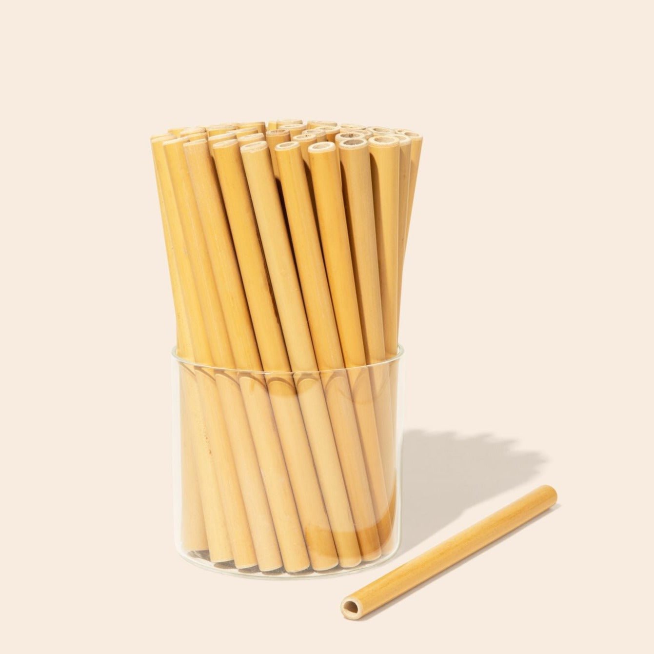 10 pajitas de bambú orgánico y limpiador de pajitas de fibra de coco