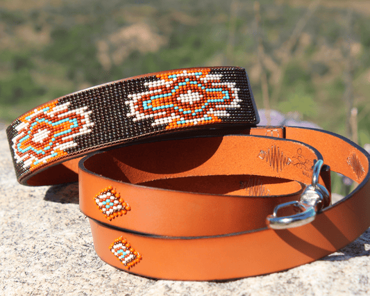 Conjunto de correa y collar para perro a juego Boho Chic Sambboho