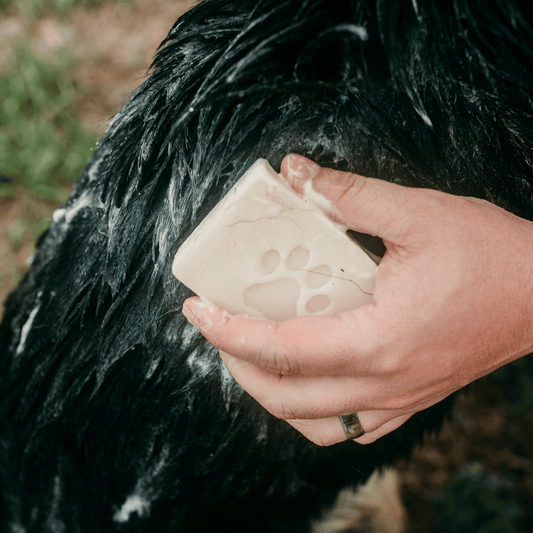 Champú sólido para mascotas - Champú para perros sin residuos, totalmente natural, vegano, sin plástico, 113 g