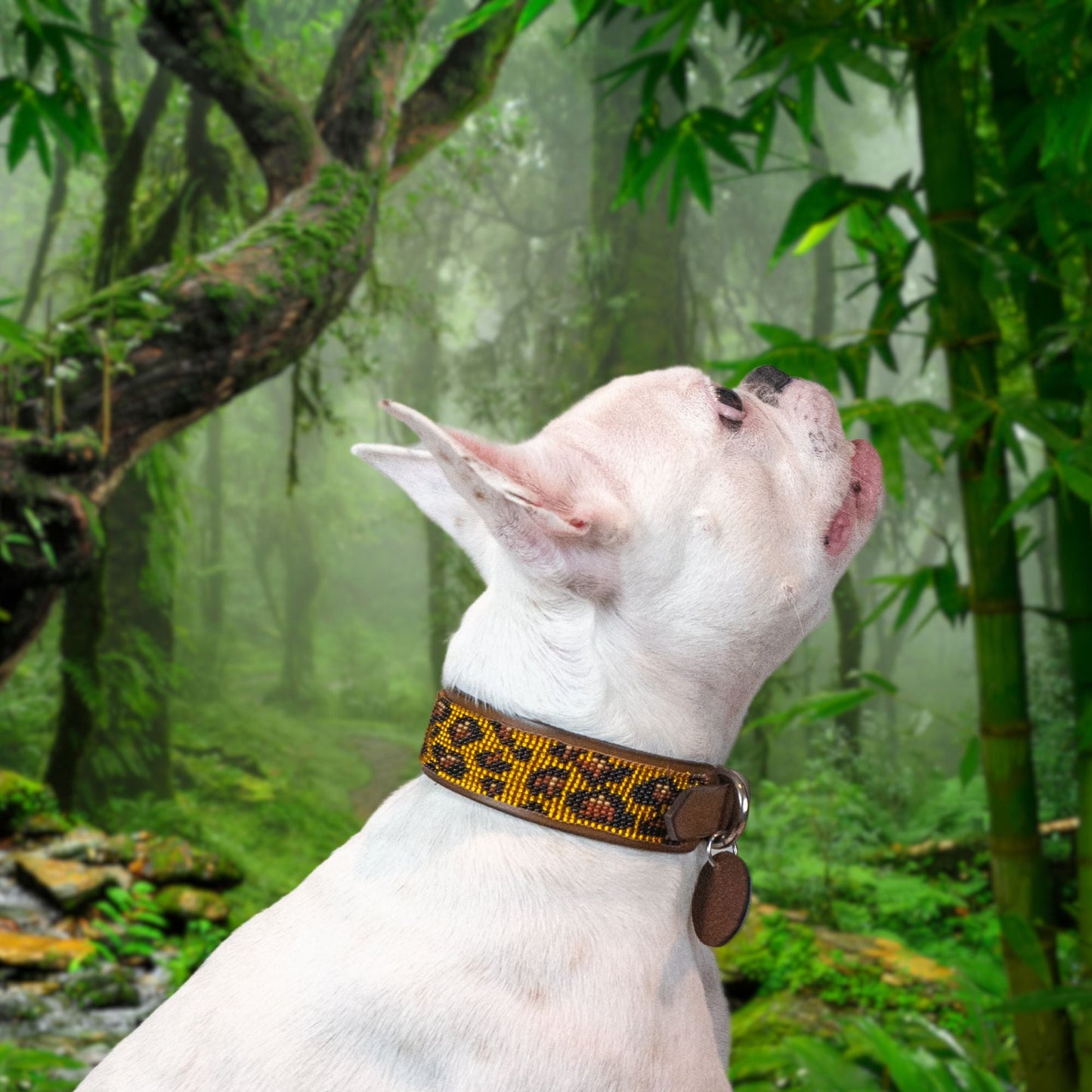 Collar para perro Cheetah Sambboho (colección con estampado animal)