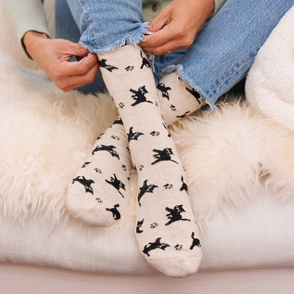 Calcetines que salvan gatos (Gatos beige)