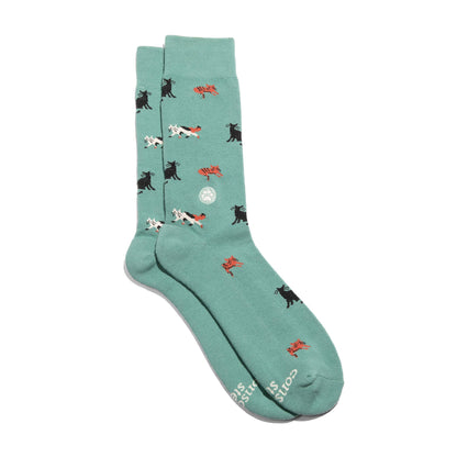 Calcetines que salvan gatos (Gatos color verde azulado)
