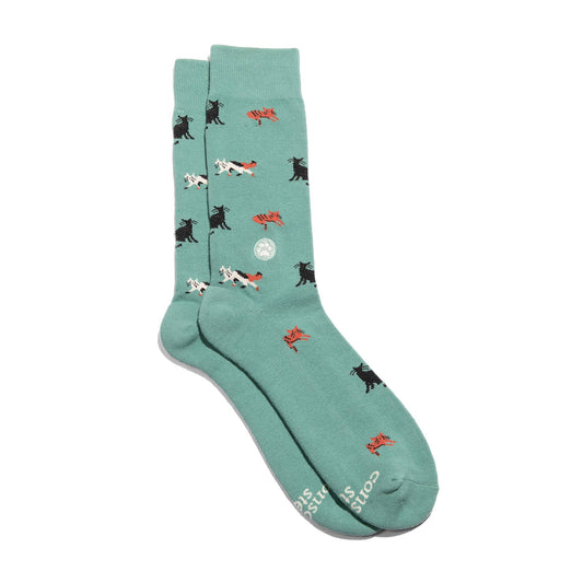 Calcetines que salvan gatos (Gatos color verde azulado)