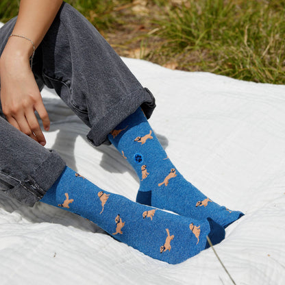 Calcetines que salvan perros (Golden Retrievers azules)