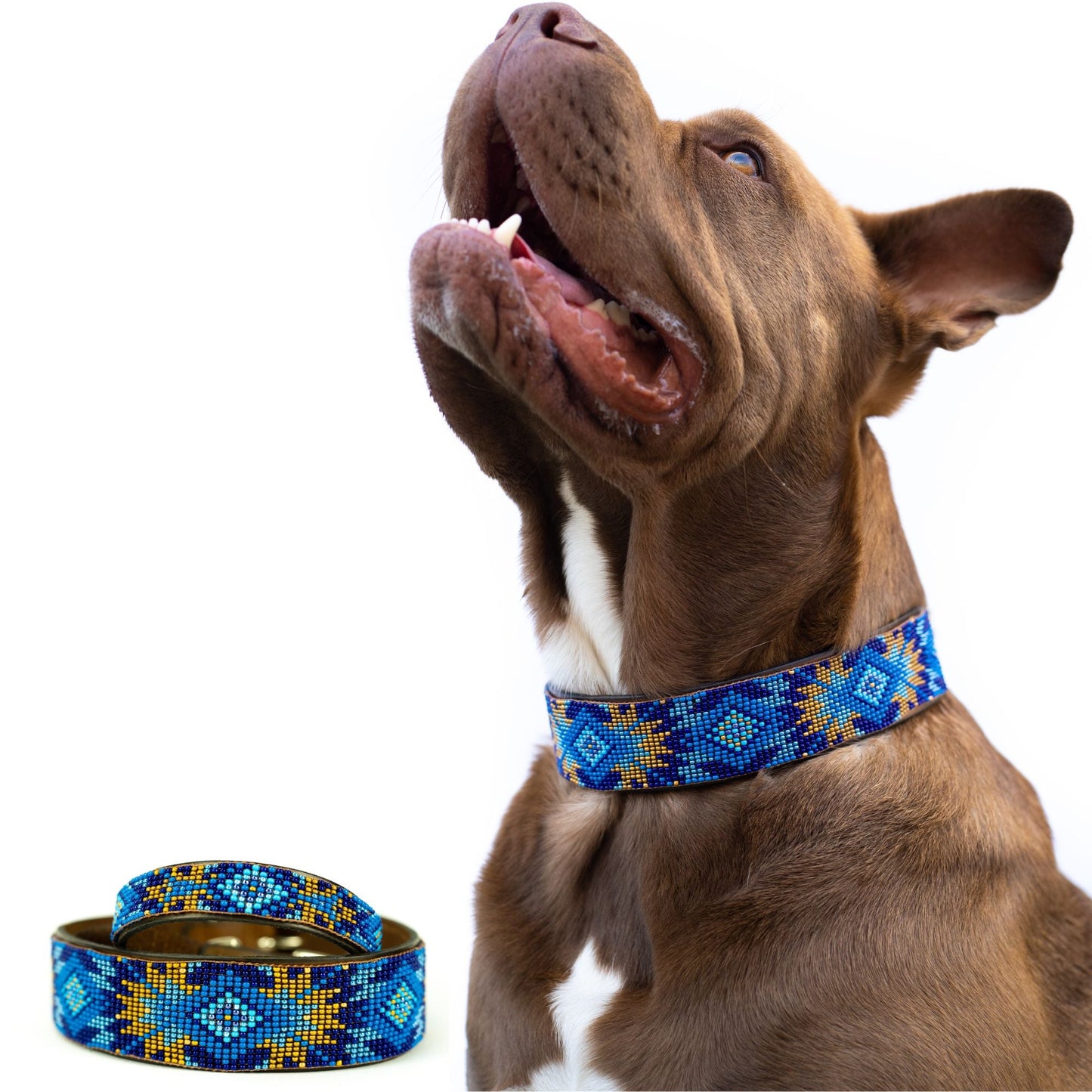 Collar para perros Sambboho de Maldivas (Colección Glam)