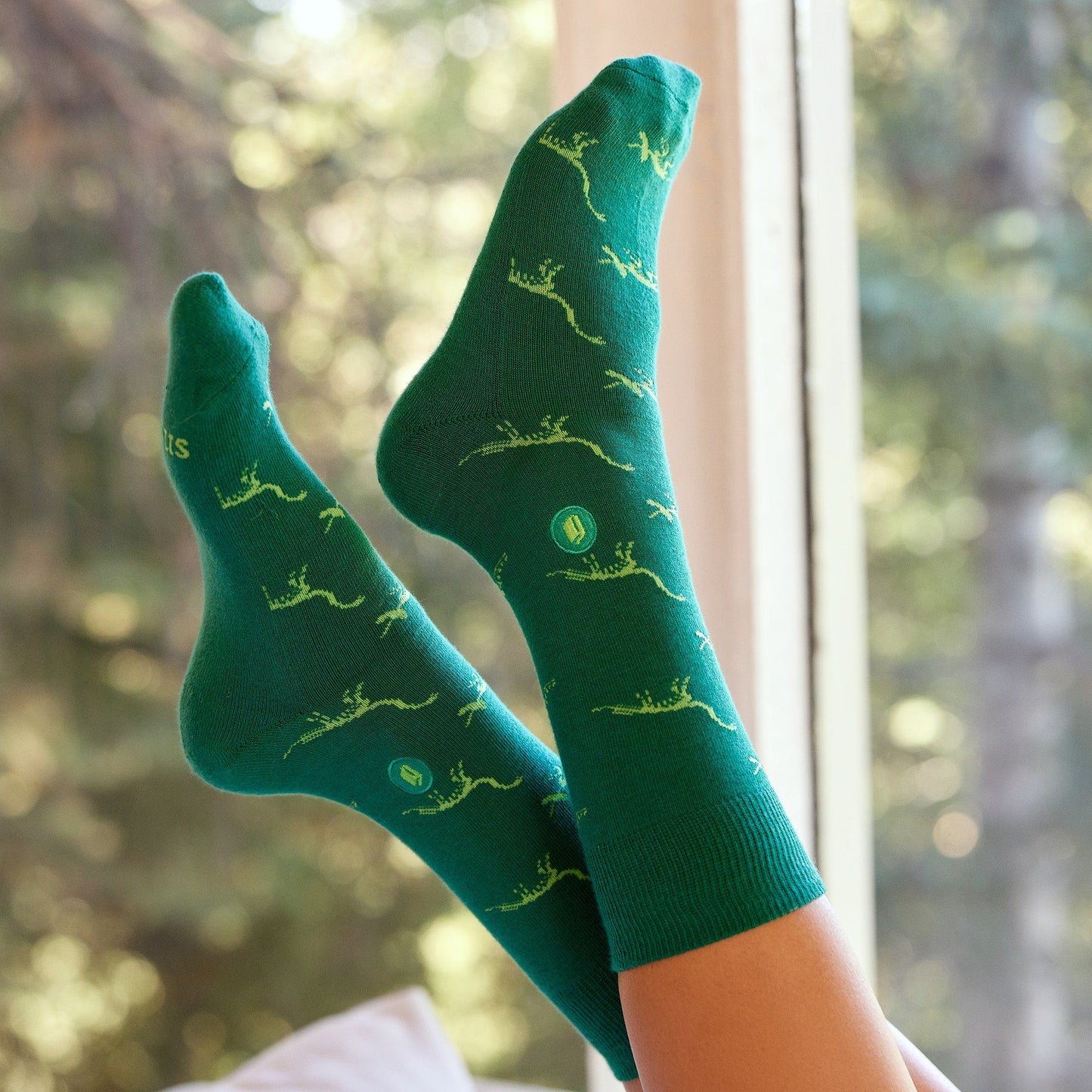 Calcetines que Regalan Libros